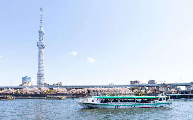 Sumidagawa Asakusa Ohanami