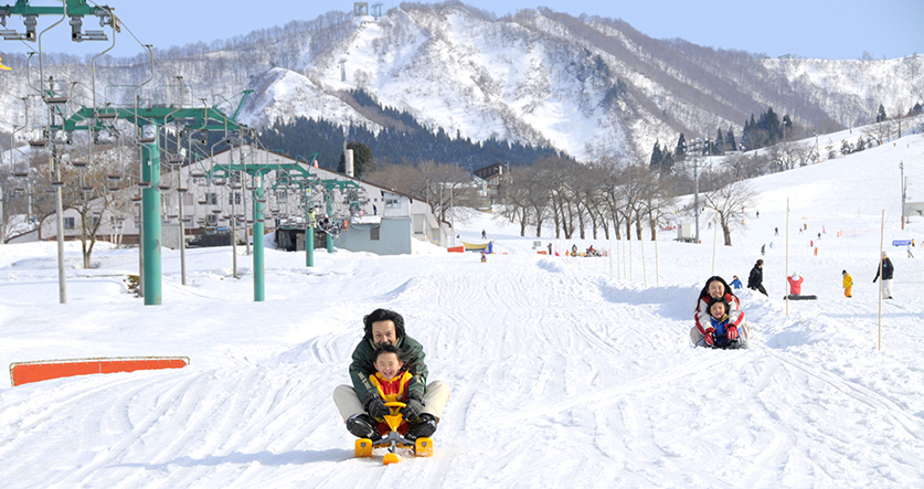 雪上活動