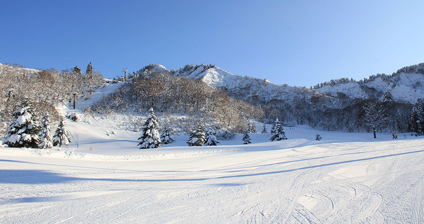 在雪地裡玩