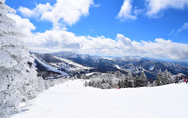 志賀高原滑雪場 JR新幹線