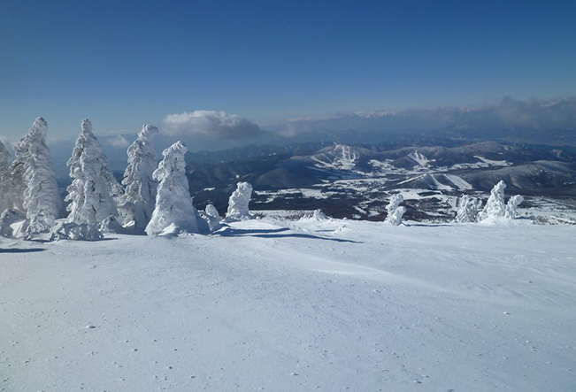 雪上活動