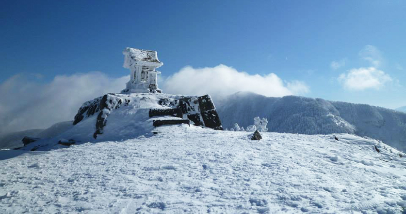 雪上活動