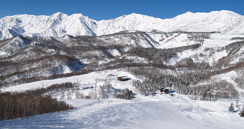 雪上活動