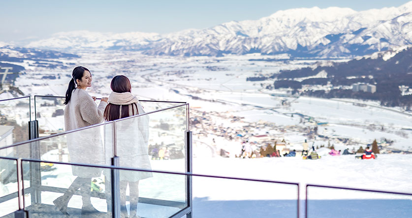 Spectacular views from the gondola