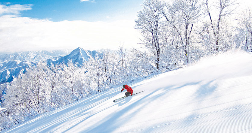 The diverse terrain of Ishiuchi Maruyama
