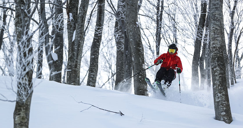 Ishiuchi Maruyama Tree Run