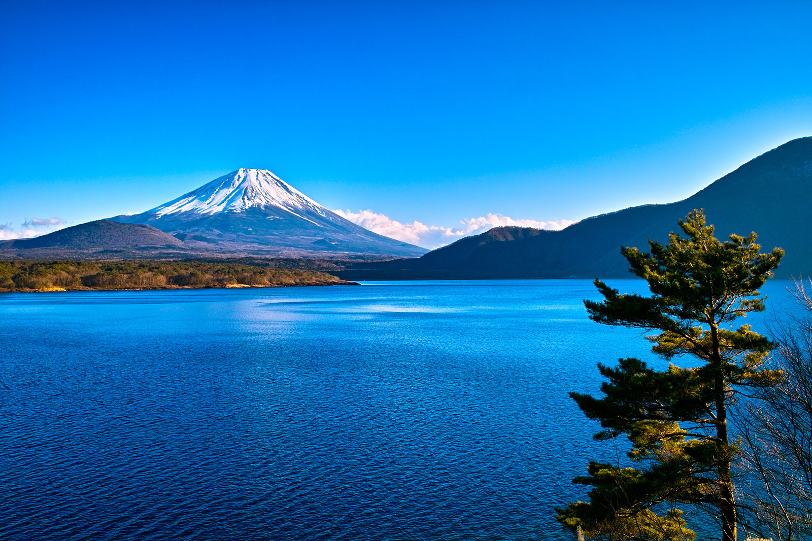 MT.FUJI